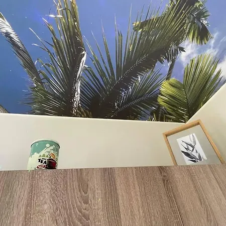 アパート St Bruno - « Palmiers » *